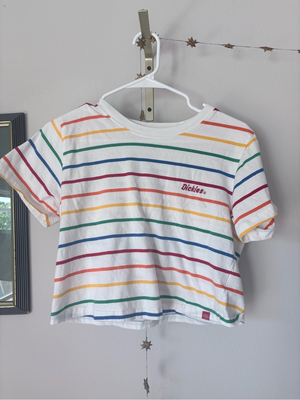 Dickies Rainbow Stripe Crop T-Shirt — Women's Medium White 100% Cotton